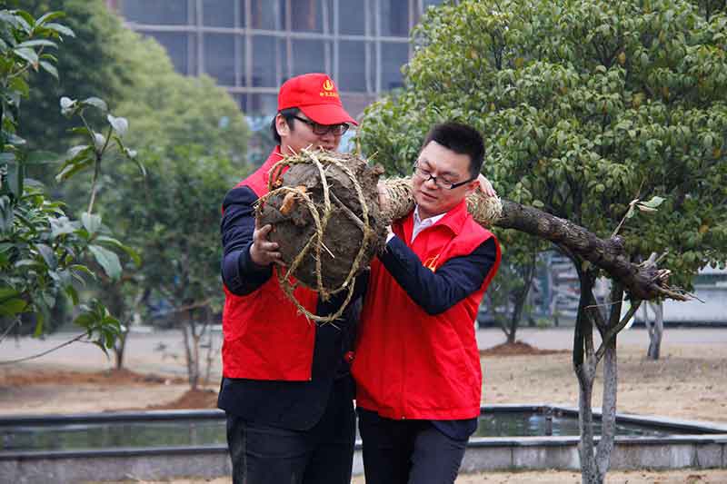 裝飾集團(tuán)組織開展志愿者“3.12”植樹活動(dòng)