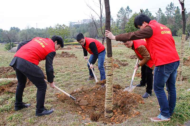 裝飾集團(tuán)組織開展志愿者“3.12”植樹活動(dòng)